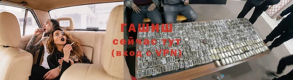 гидра Абаза