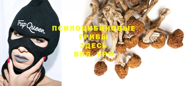 ECSTASY Алексеевка