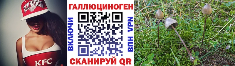 как найти закладки  гидра сайт  Галлюциногенные грибы Psilocybine cubensis  Севастополь 