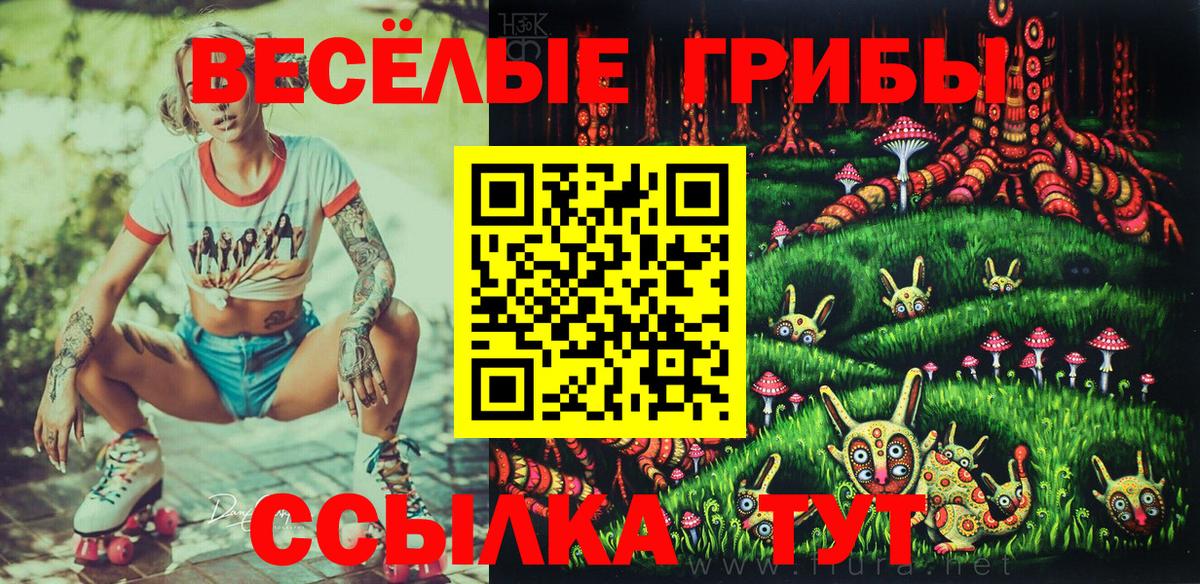 Псилоцибиновые грибы мухоморы  Вход с VPN  Севастополь 